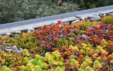 the cost of Shipham green roof installation